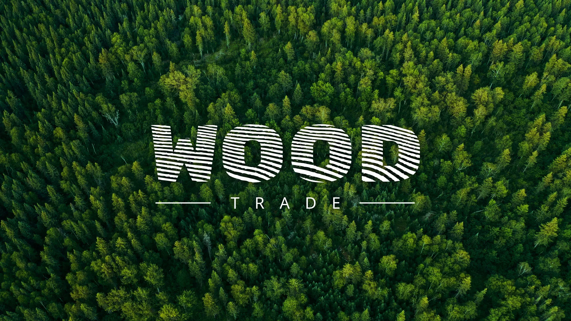 Разработка интернет-магазина компании «Wood Trade» в Гае
