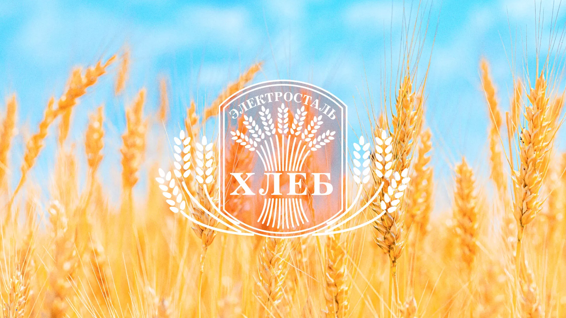 Создание сайта для хлебзавода в Гае