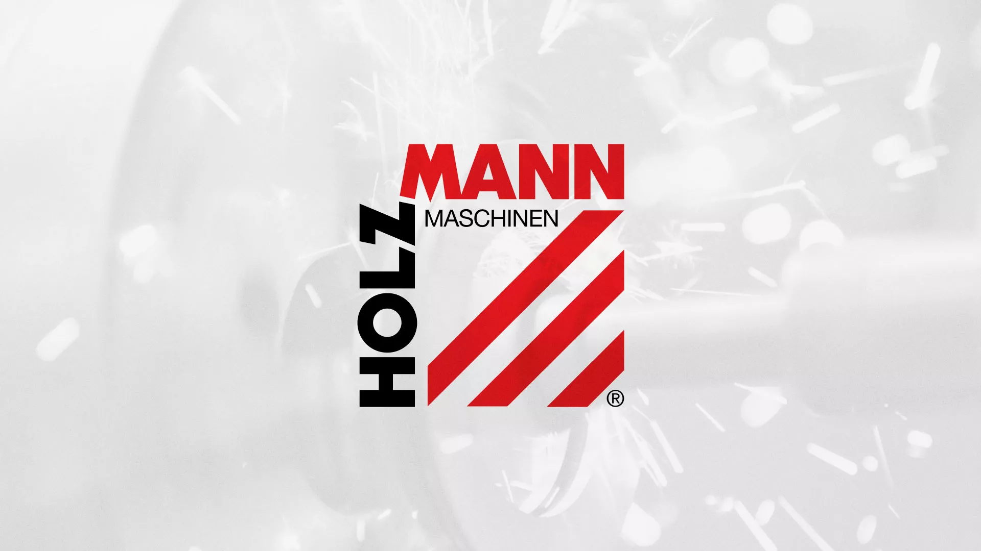 Создание сайта компании «HOLZMANN Maschinen GmbH» в Гае