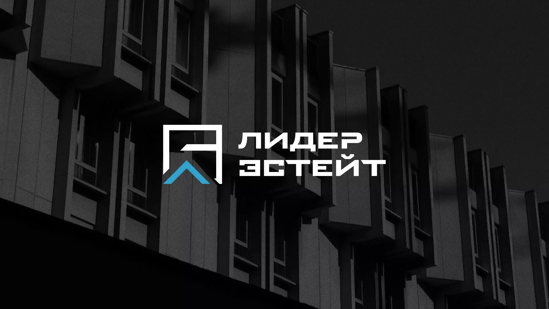 Разработка логотипа агентства недвижимости «Лидер Эстейт» в Гае